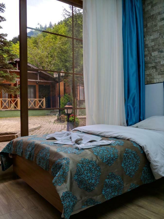 Centro Park Hotel Uzungöl Habitación foto